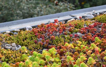 the cost of The Birches green roof installation