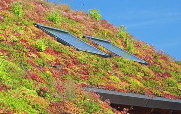 The Birches living roof systems