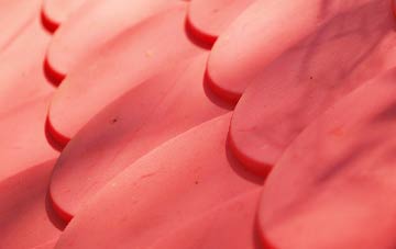 The Birches plastic roof costs