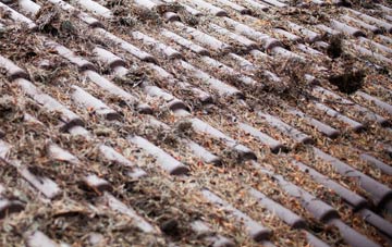 The Birches roof cleaning companies