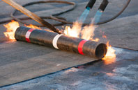 free The Birches roof quotes